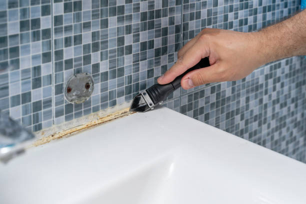 Best Fast Mold Removal  in Manistique, MI
